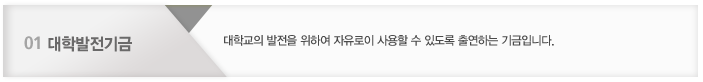 01. 대학발전기금 : 대학교의 발전을 위하여 자유로이 사용할 수 있도록 출연하는 기금입니다.