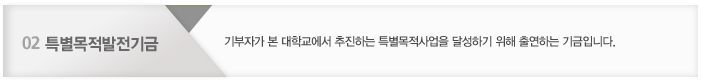 02. 특별목적발전기금 : 기부자가 본 대학교에서 추진하는 특별목적사업을 달성하기 위해 출연하는 기금입니다.